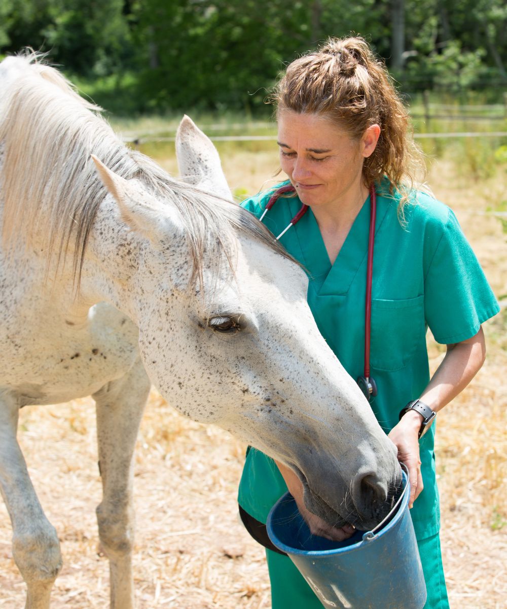 a vet wearing a green shirt stands confidently beside horse