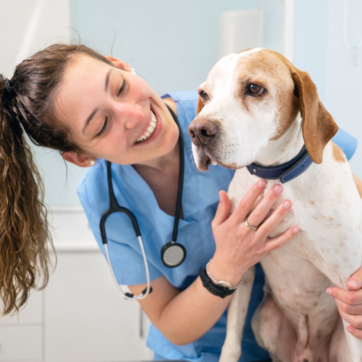 a veterinary nurse smiling while playing with a dog