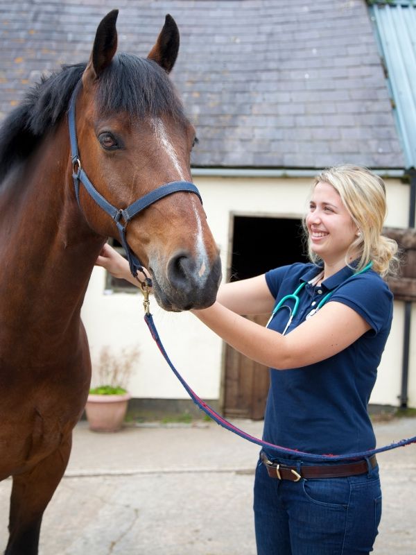 a woman in a blue shirt gently pets a horse