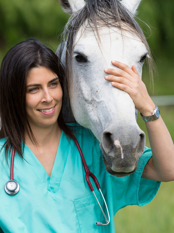 a woman in a green scrub suit stands beside a horse