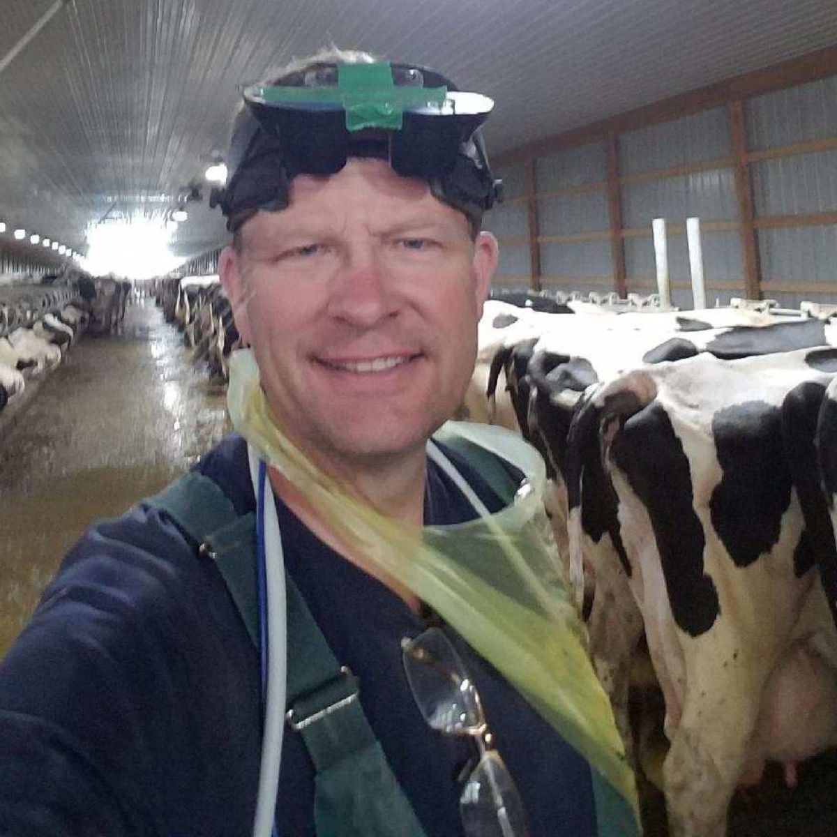 a man taking a selfie in front of a herd of cows