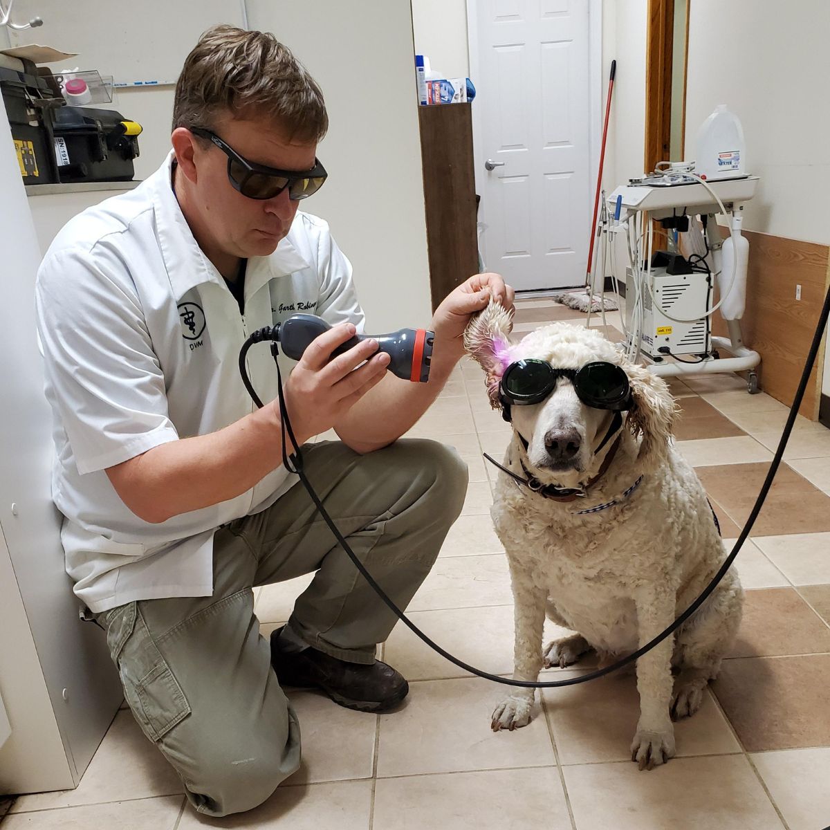 A man is performing laser therapy on a dog