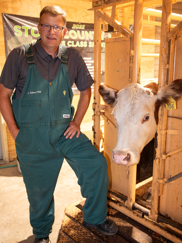 Dr. Robinson in a barn with a cow