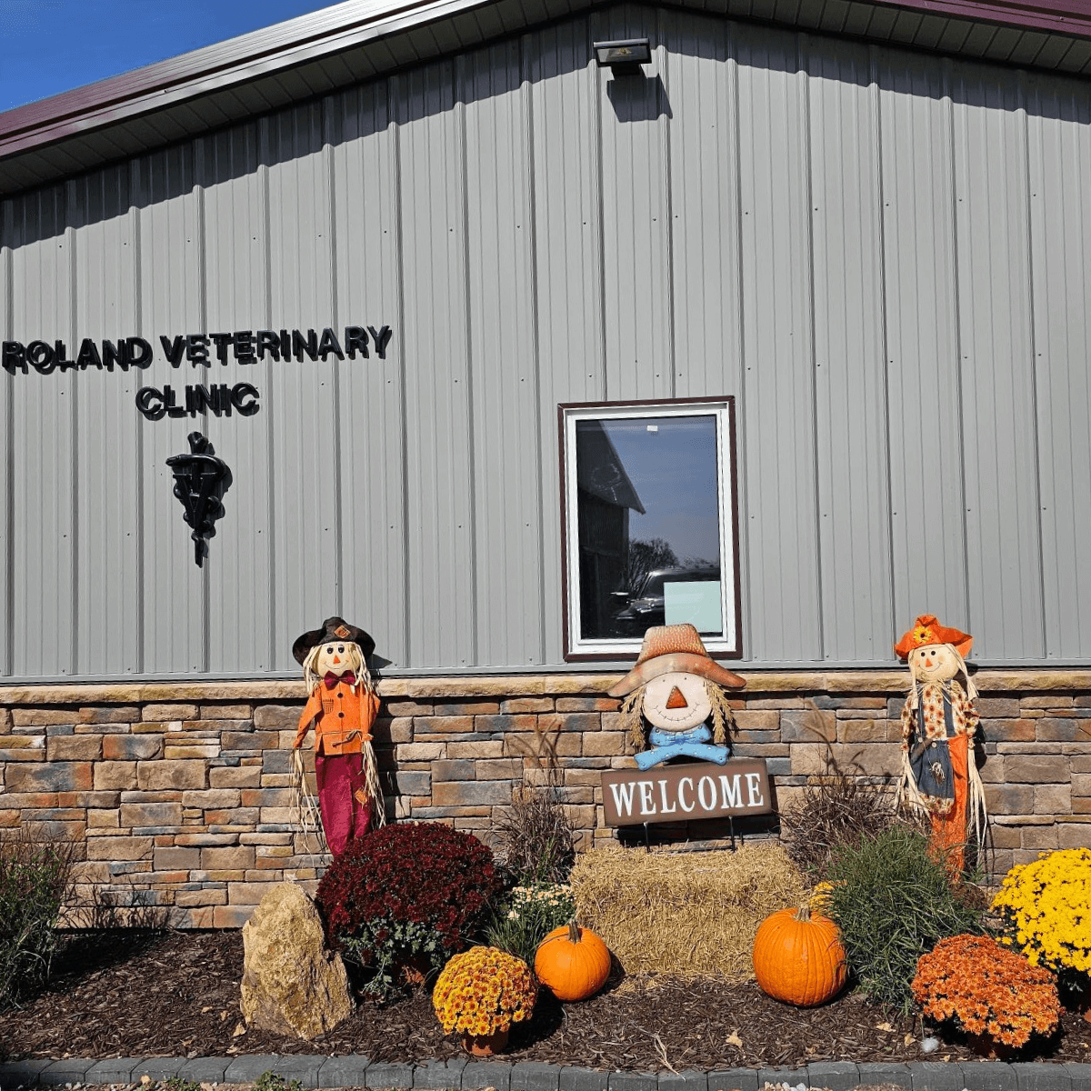 Roland Veterinary Clinic Halloween decorations