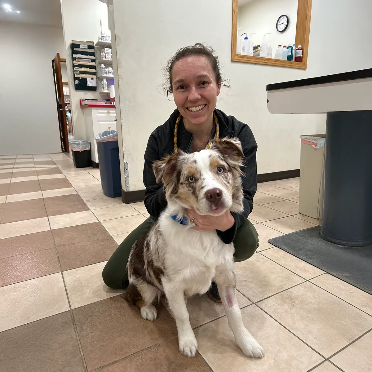 Dr. Roth kneeling next to an Australian Shepherd with a shaved foreleg in a clinical setting.